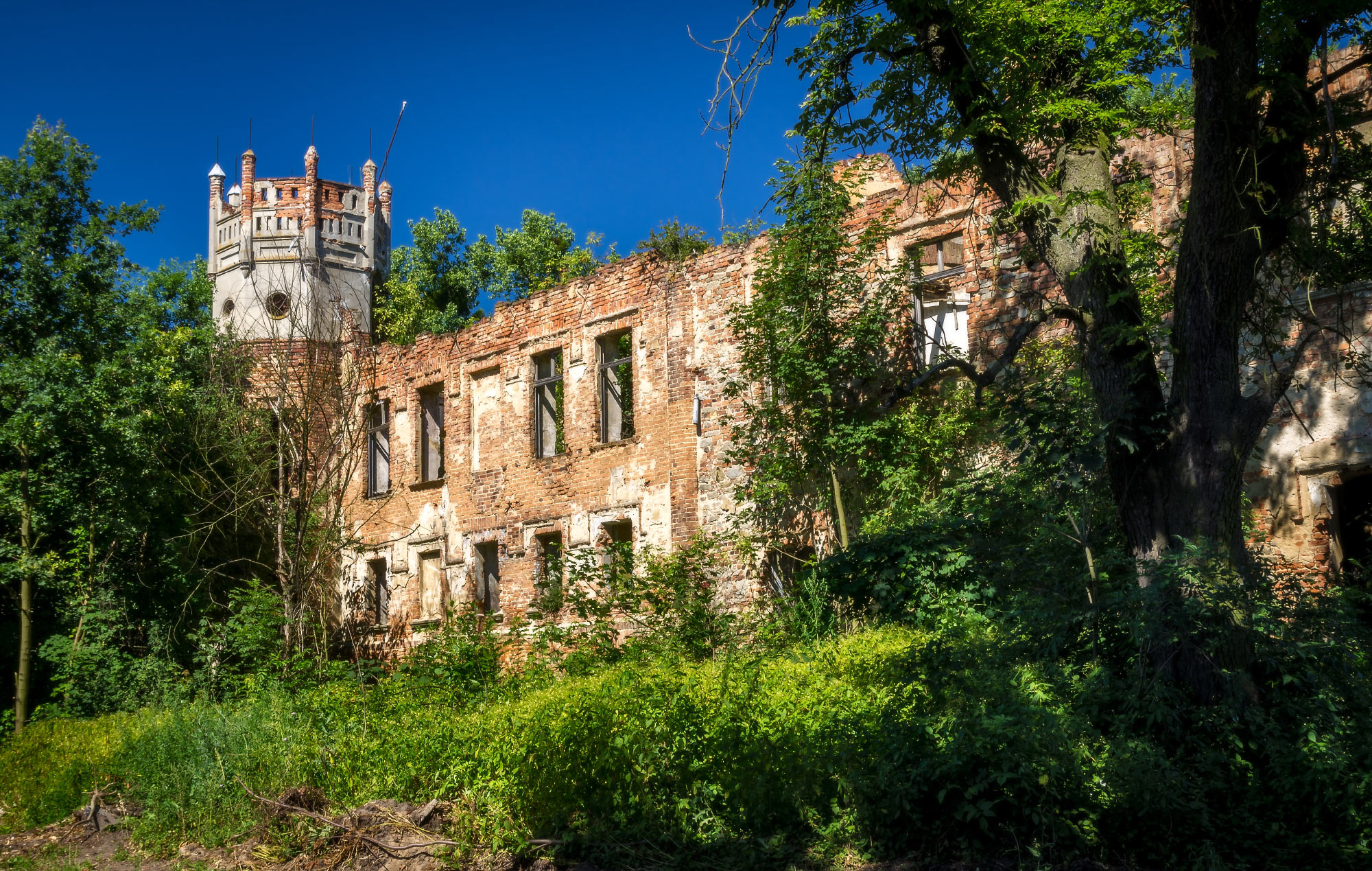 Marszowice, Olawa